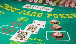 Vận động viên cầu lông chuyên nghiệp Việt Nam đang thi đấu